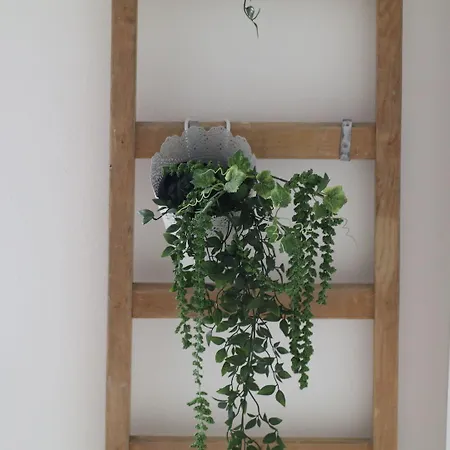 And Cozy In The Centre Of Apartman *